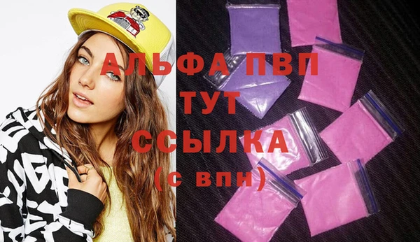 твердый Абаза