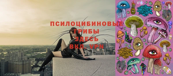 твердый Абаза