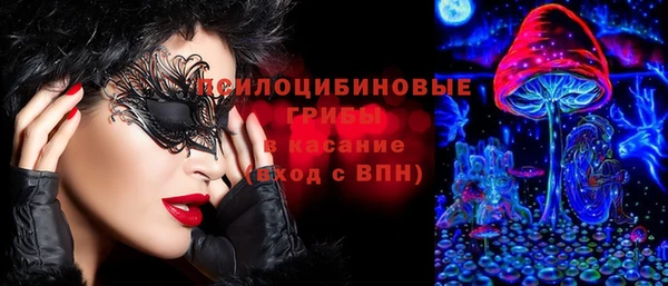 твердый Абаза